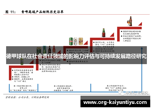 德甲球队在社会责任领域的影响力评估与可持续发展路径研究