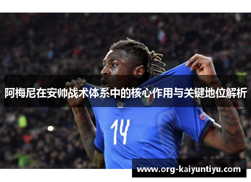 阿梅尼在安帅战术体系中的核心作用与关键地位解析