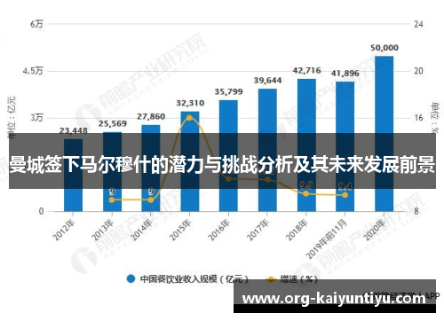 曼城签下马尔穆什的潜力与挑战分析及其未来发展前景