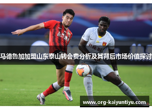 马德鲁加加盟山东泰山转会费分析及其背后市场价值探讨