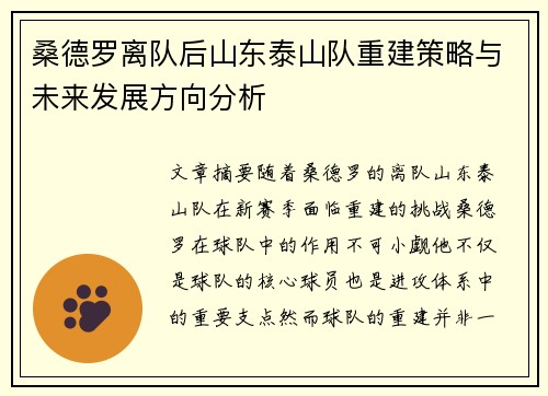 桑德罗离队后山东泰山队重建策略与未来发展方向分析