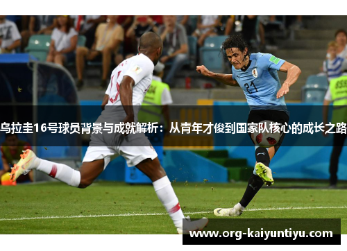 乌拉圭16号球员背景与成就解析：从青年才俊到国家队核心的成长之路