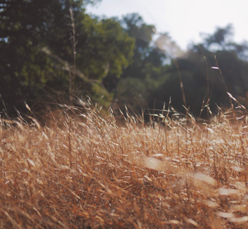 尼克斯客场奏凯！兰德尔关键时刻化身“定海神针”，一骑绝尘