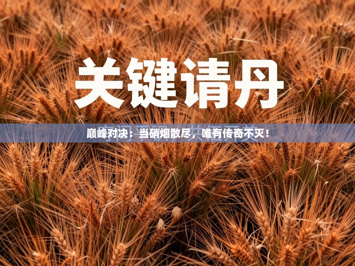 巅峰对决：当硝烟散尽，唯有传奇不灭！  第2张