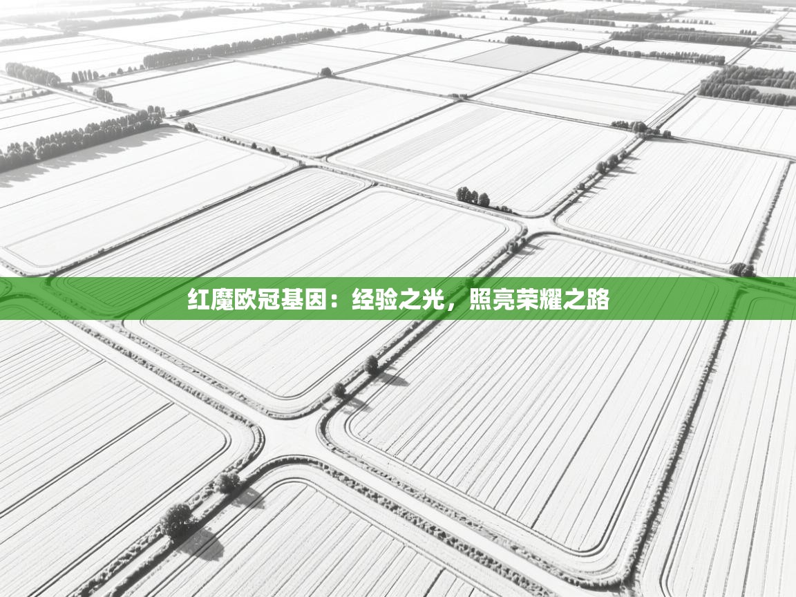 红魔欧冠基因:经验之光,照亮荣耀之路 第2张